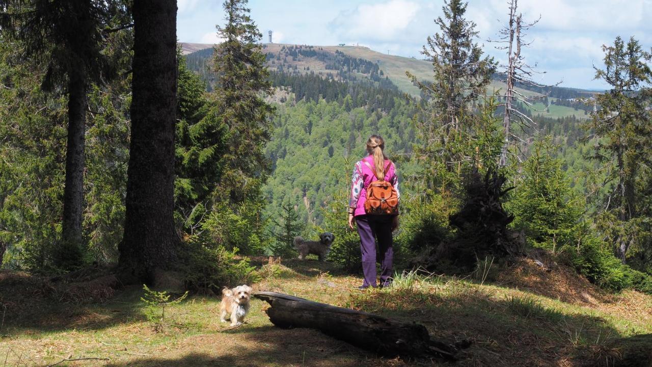 C2 Albmatte-Fewo , Hallenbad Aussenbecken Massagen Nebenan Санкт-Блазиен Экстерьер фото