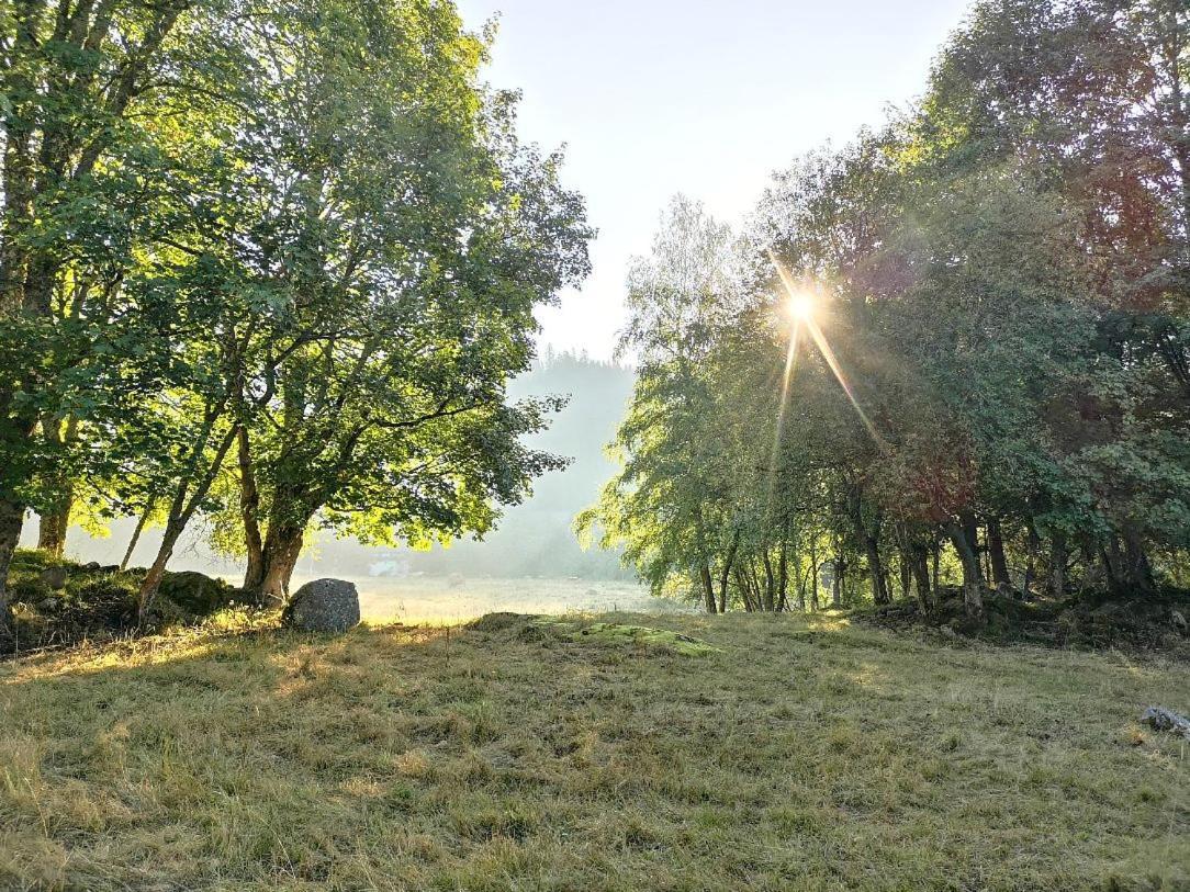 C2 Albmatte-Fewo , Hallenbad Aussenbecken Massagen Nebenan Санкт-Блазиен Экстерьер фото