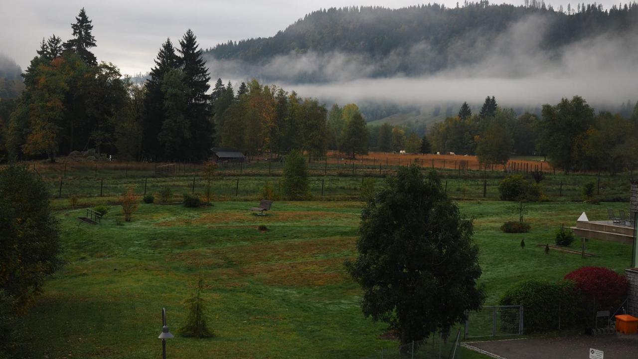 C2 Albmatte-Fewo , Hallenbad Aussenbecken Massagen Nebenan Санкт-Блазиен Экстерьер фото
