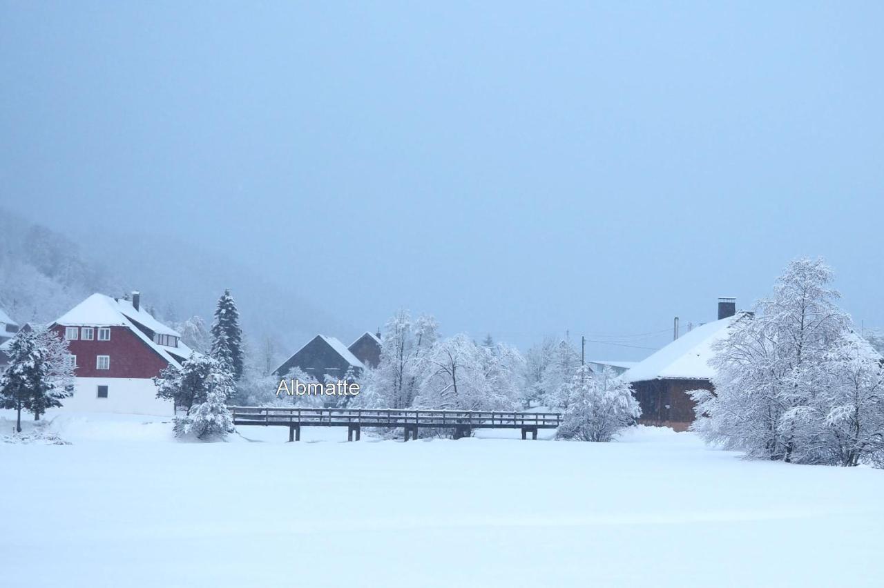 C2 Albmatte-Fewo , Hallenbad Aussenbecken Massagen Nebenan Санкт-Блазиен Экстерьер фото
