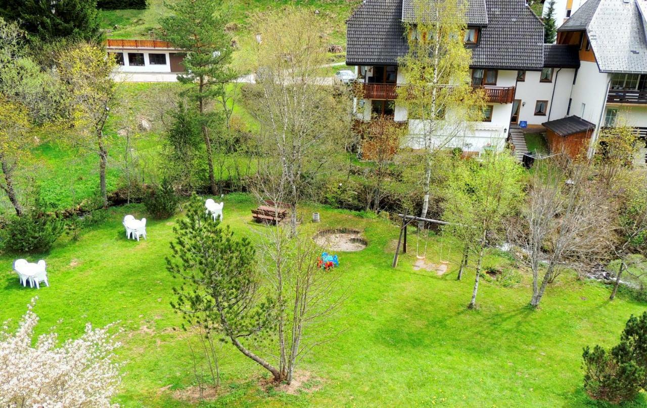 C2 Albmatte-Fewo , Hallenbad Aussenbecken Massagen Nebenan Санкт-Блазиен Экстерьер фото